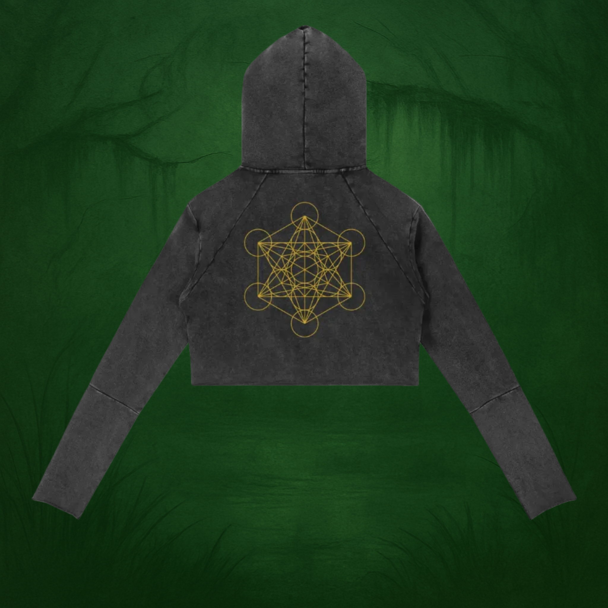 TSW Metatron’s Cube